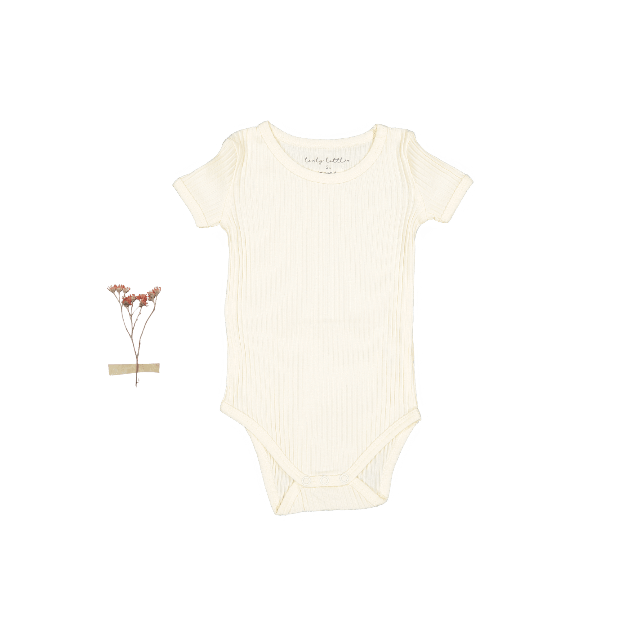 The Short Sleeve Onesie - Butter Short Sleeve Onesie Lovely Littles   