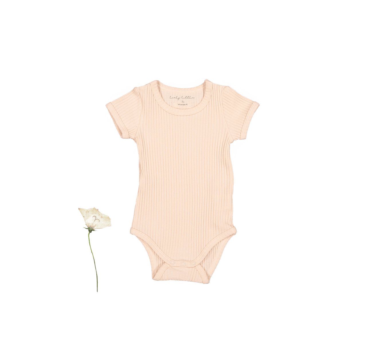 The Short Sleeve Onesie - Powder Short Sleeve Onesie Lovely Littles   