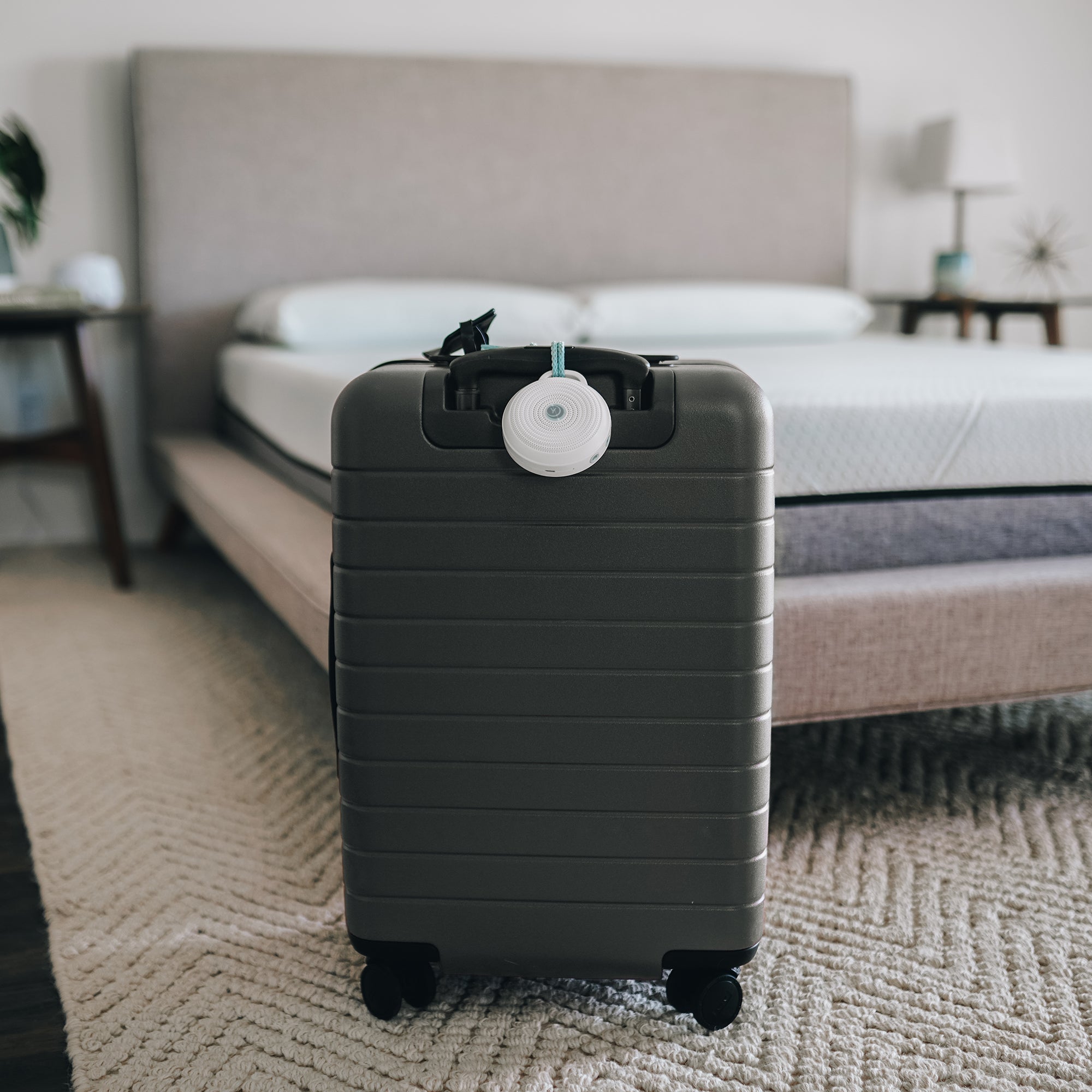 Rohm + Travel Case Bundle