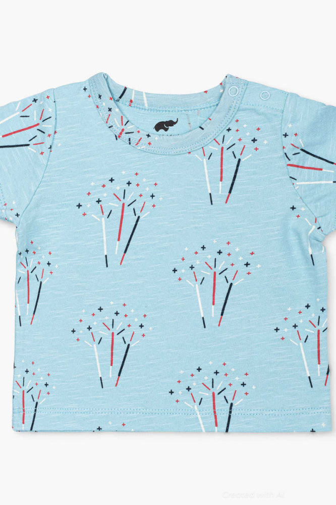 Short Sleeve Crewneck Tee - Sparkler Surprise