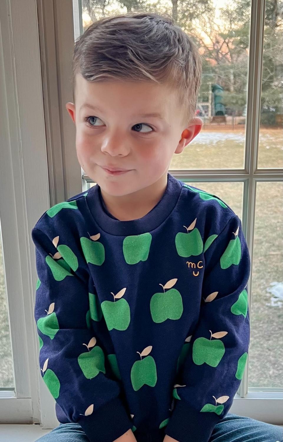 Recycled Cotton Apples Baby Sweatshirt - Blue Ribbon Apple