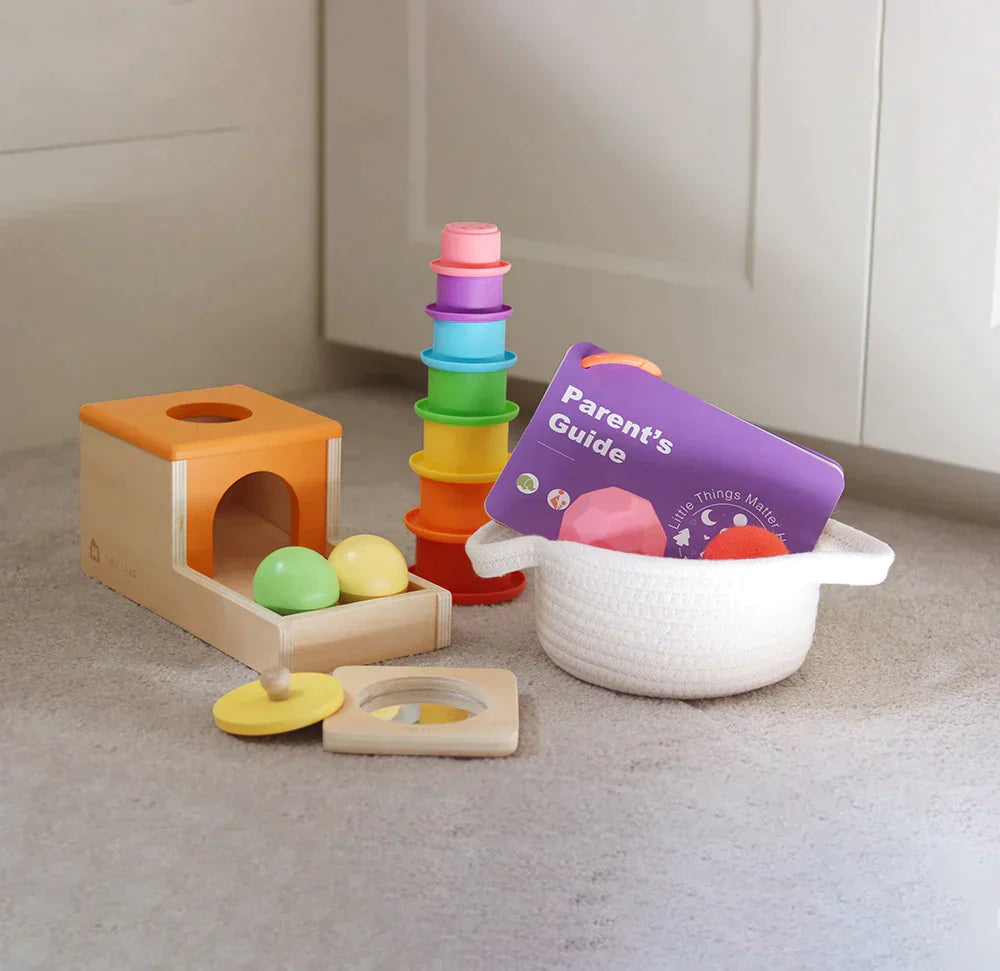 Tiny Land® Montessori Toys Set for Newborns (6-9 month) Toys & Games Tiny Land   