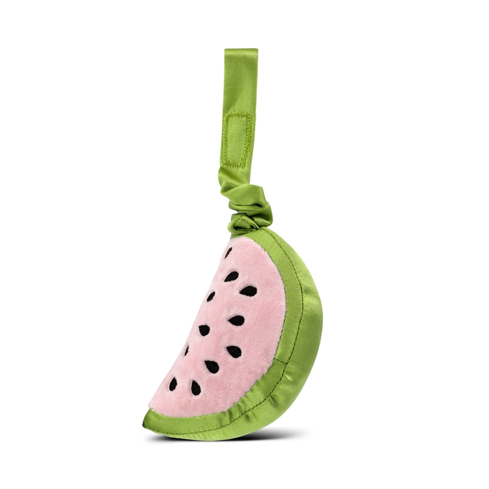 Watermelon Stroller Toy