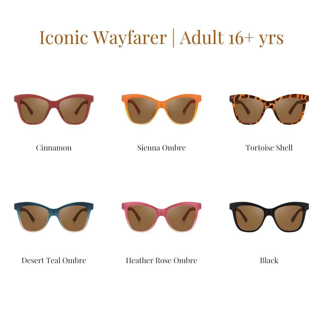 Iconic Wayfarer Ombre  | Polarized Sunglasses | Adult | 15+ Y | Desert Teal Ombre