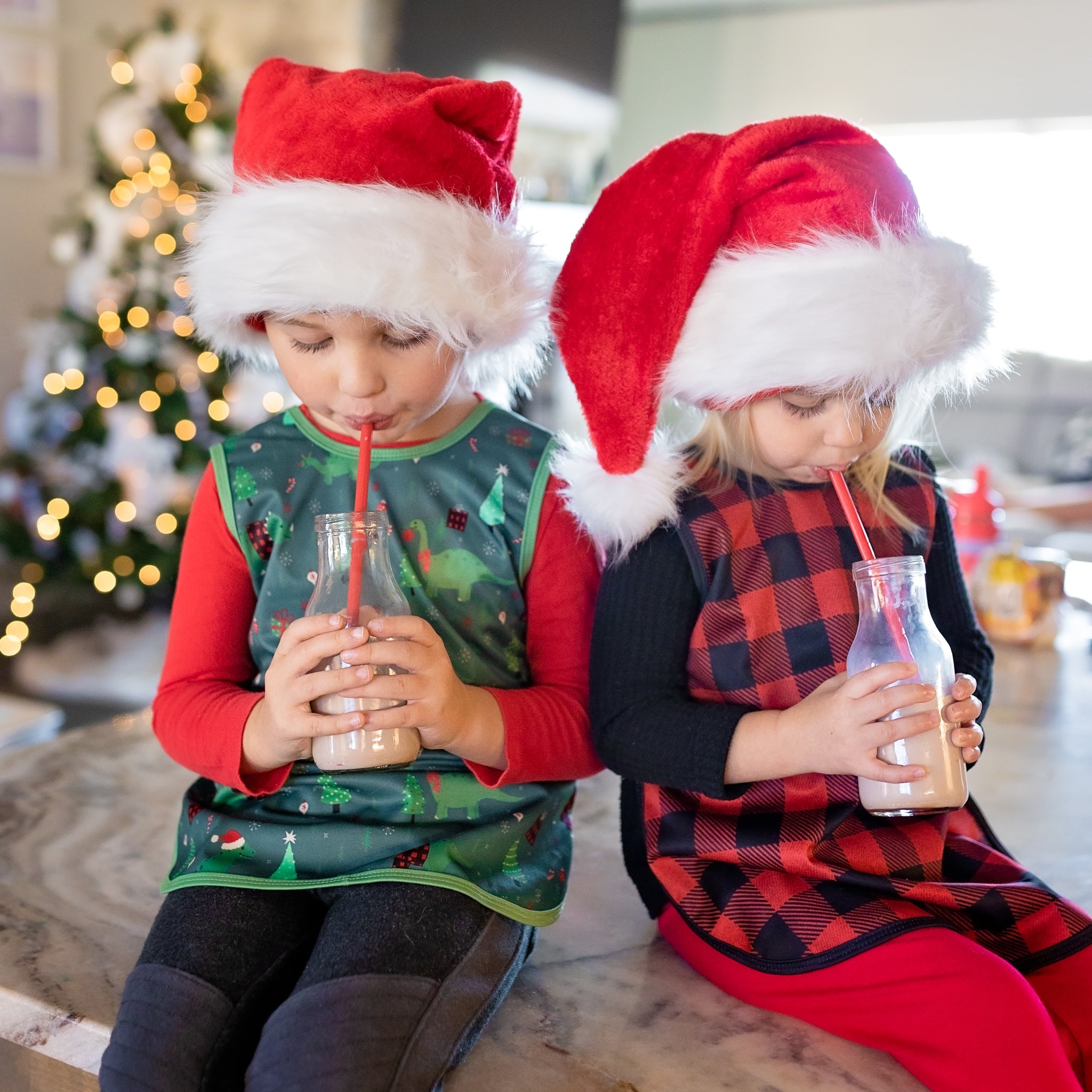 Red Buffalo Plaid Bapron SALE