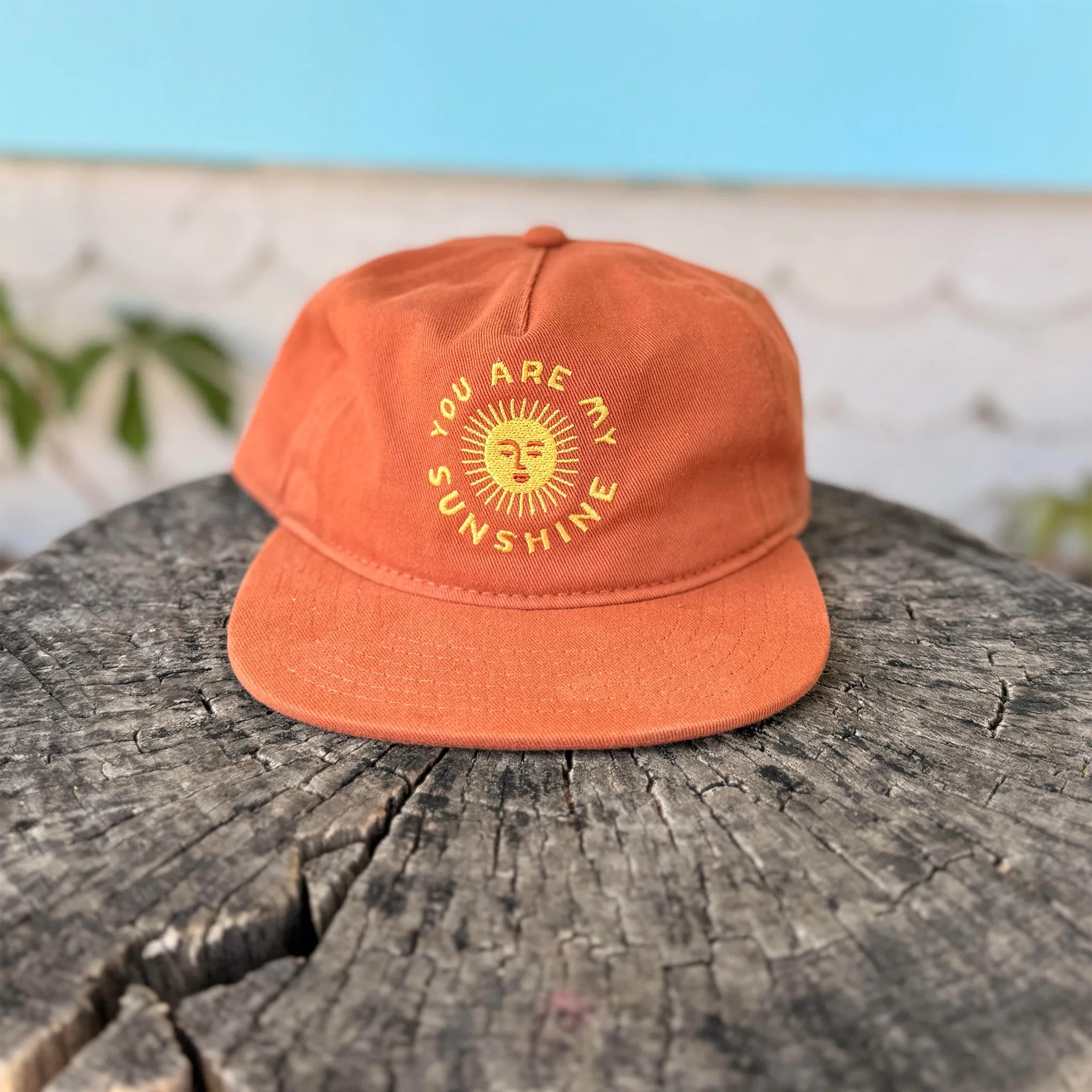 You Are My Sunshine Hat