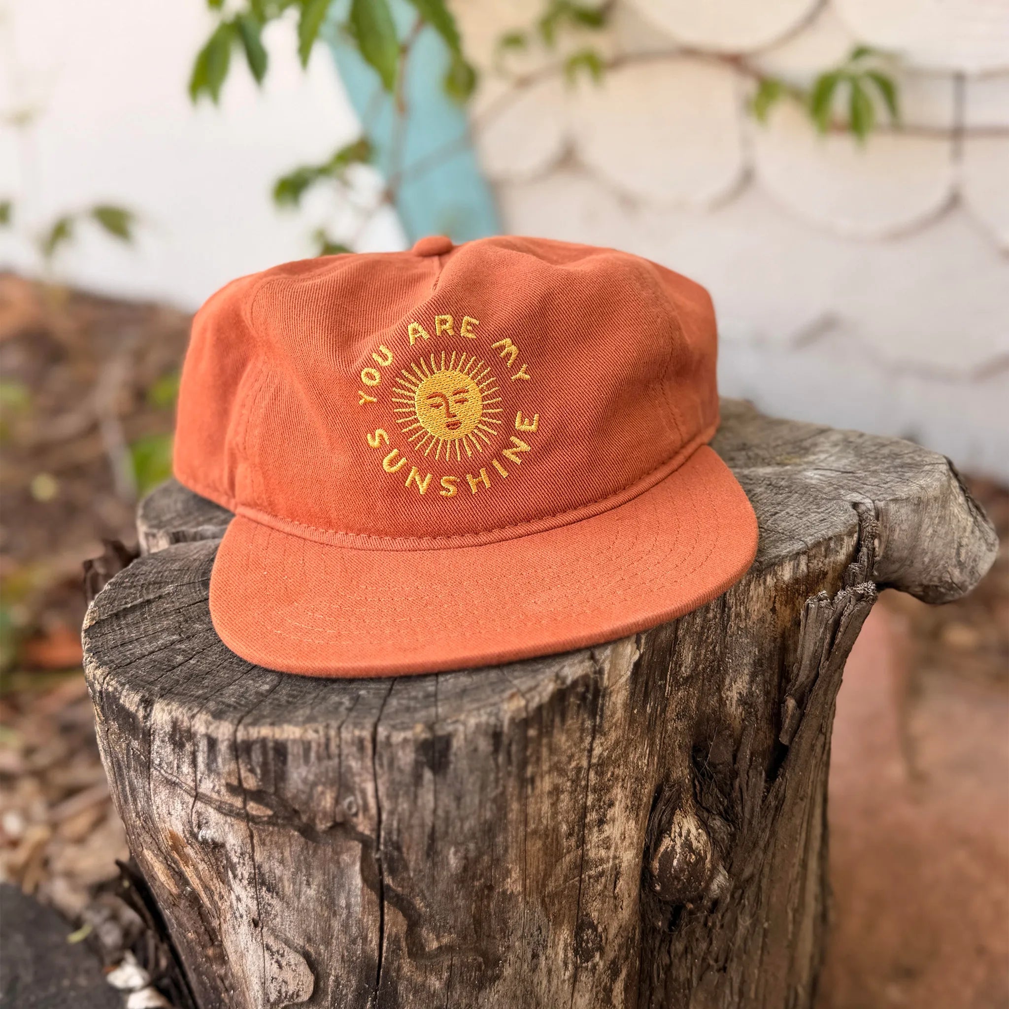 You Are My Sunshine Hat - Twinsie Set