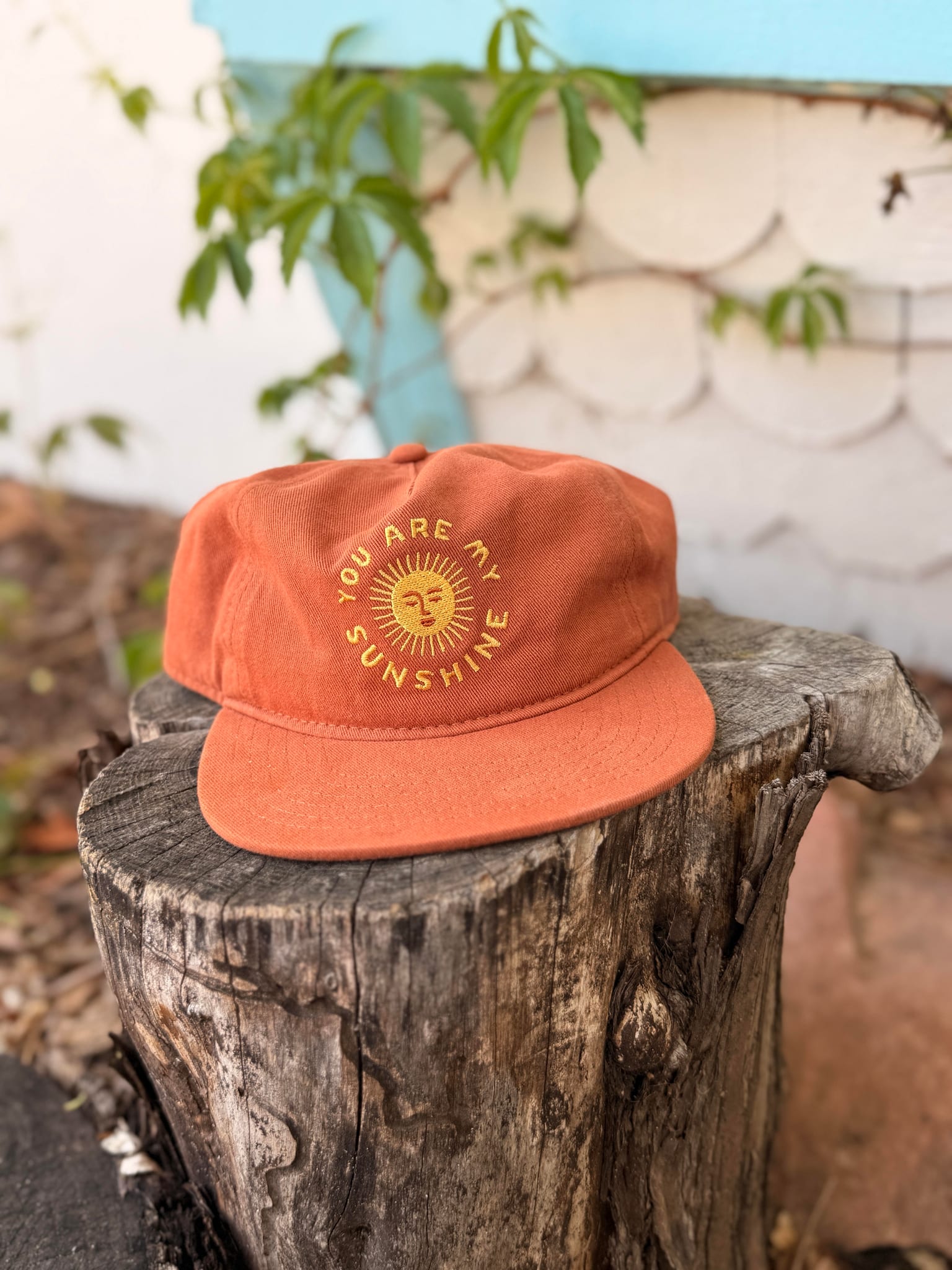You Are My Sunshine Hat - Twinsie Set