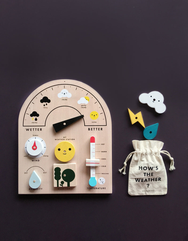 Wooden Weather Station Moon Picnic