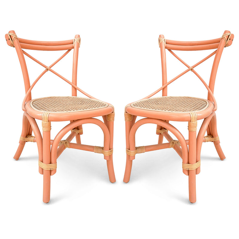 The Poppie Farm Chairs (set of 2)