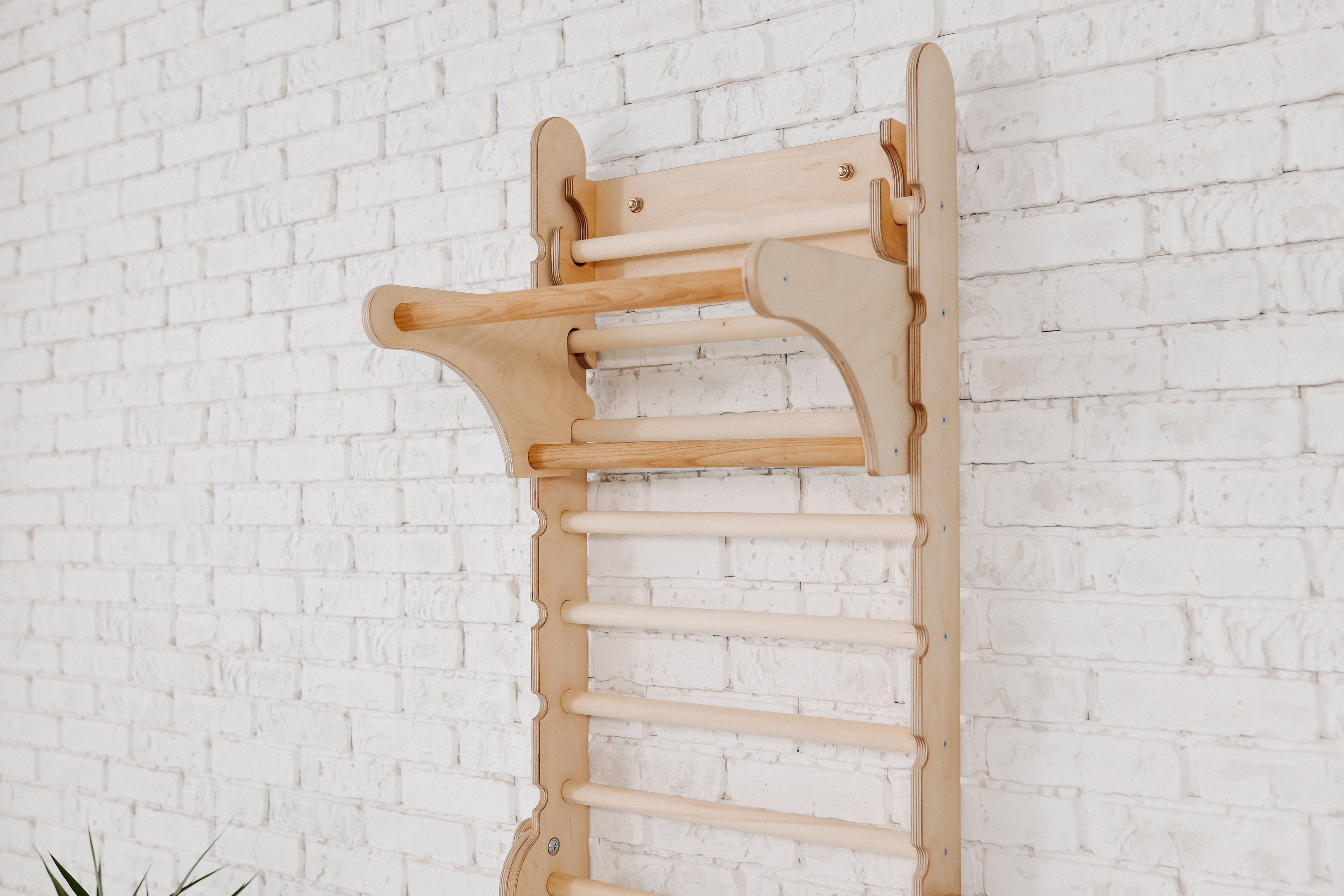 Gym Addition to the Climbing Ladders Ladder Accessories Goodevas   