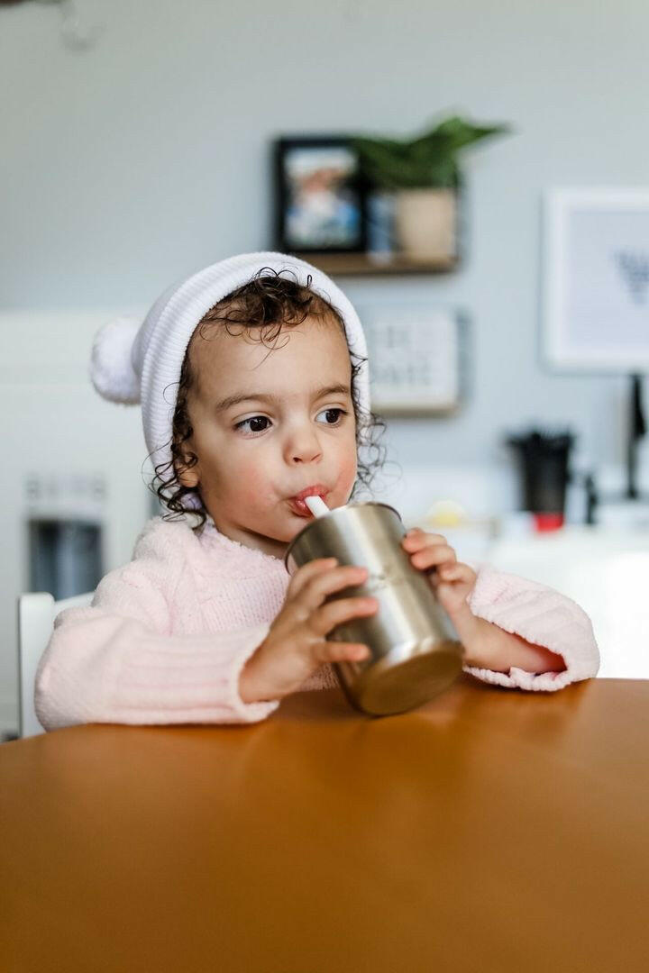 8 oz. Avanchy Stainless Steel Baby Toddler Spill Proof Cup with Straw Sippy Cups Avanchy Sustainable Baby Dishware   