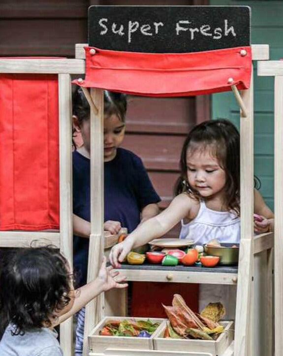 Play Center  PlanToys   