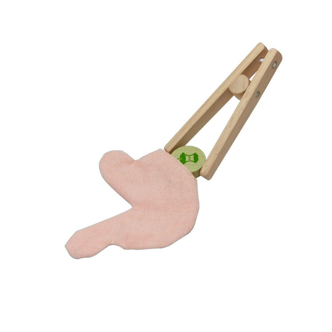 Surgeon Play Set  PlanToys   