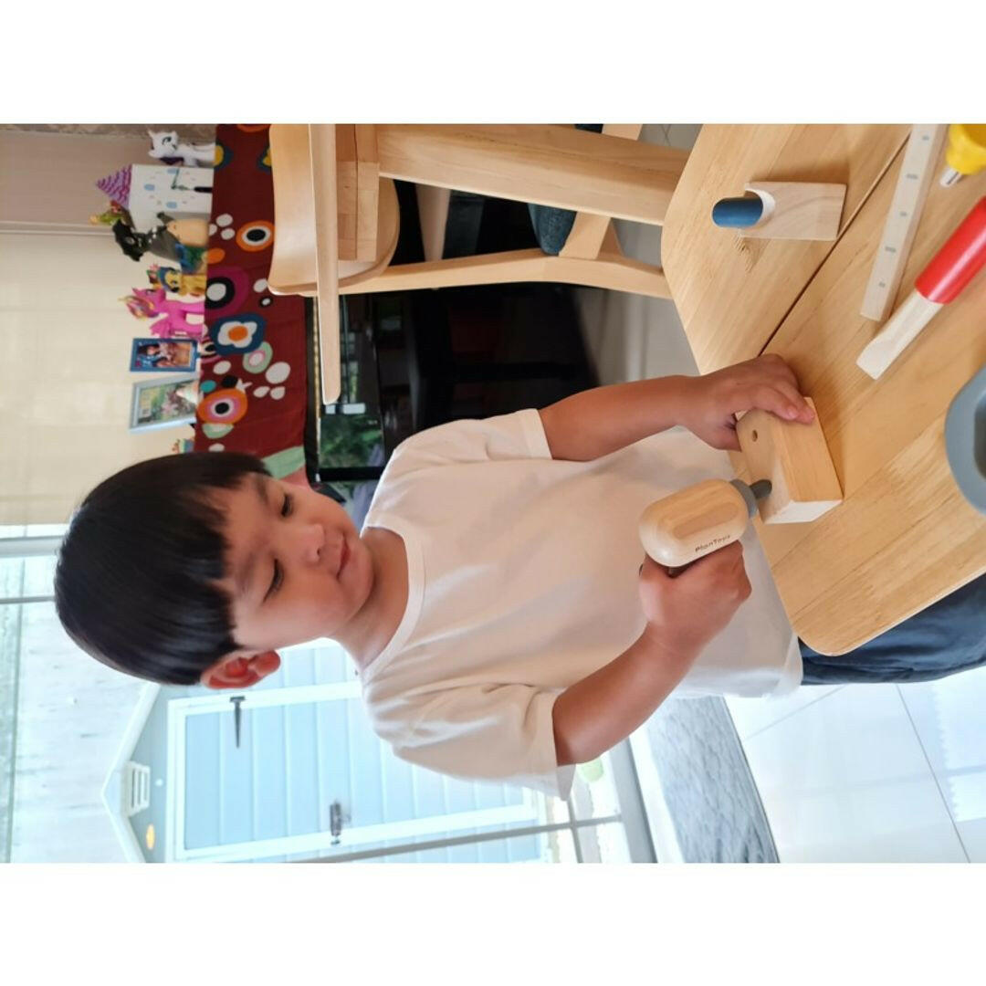Handy Carpenter Set  PlanToys   