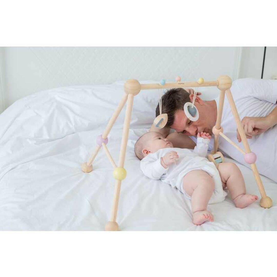 Play Gym - Pastel Series  PlanToys   