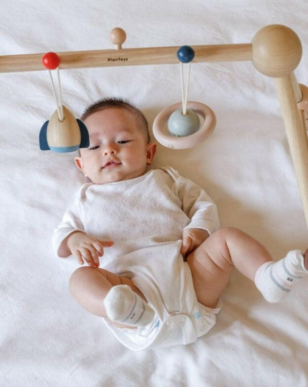 Play Gym - Orchard  PlanToys   
