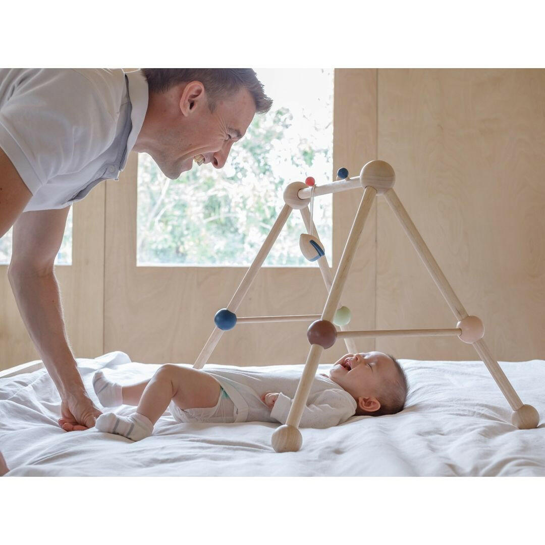 Play Gym - Orchard  PlanToys   