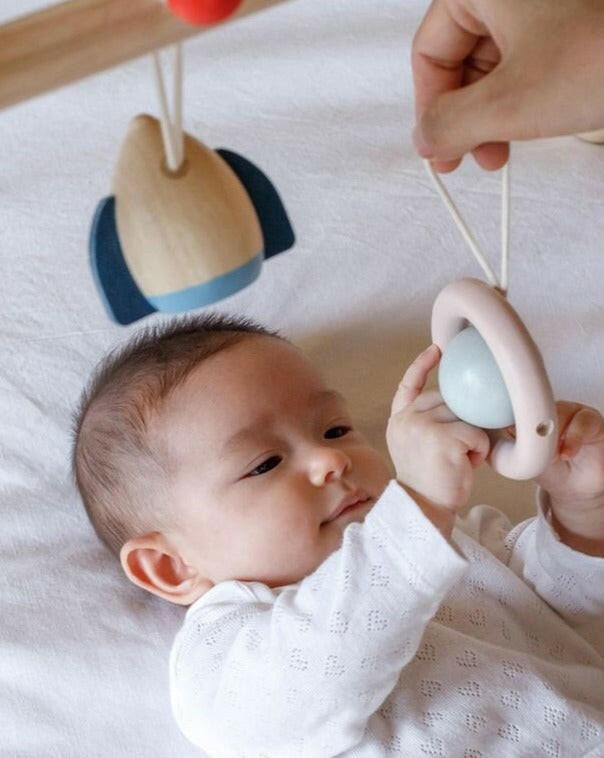 Play Gym - Orchard  PlanToys   