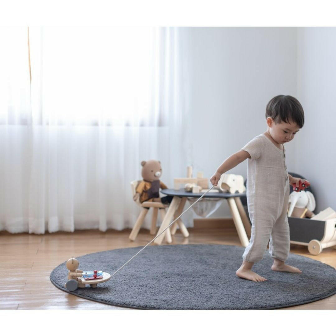 Pull Along Musical Bear  PlanToys   