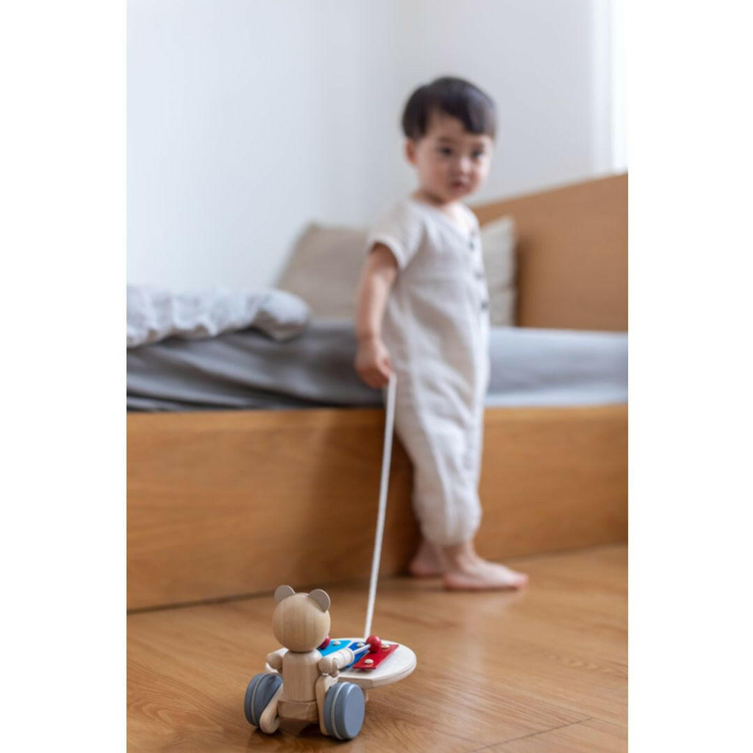 Pull Along Musical Bear  PlanToys   