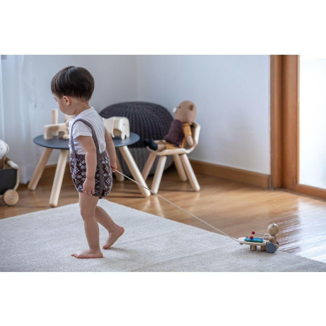 Pull Along Musical Bear  PlanToys   