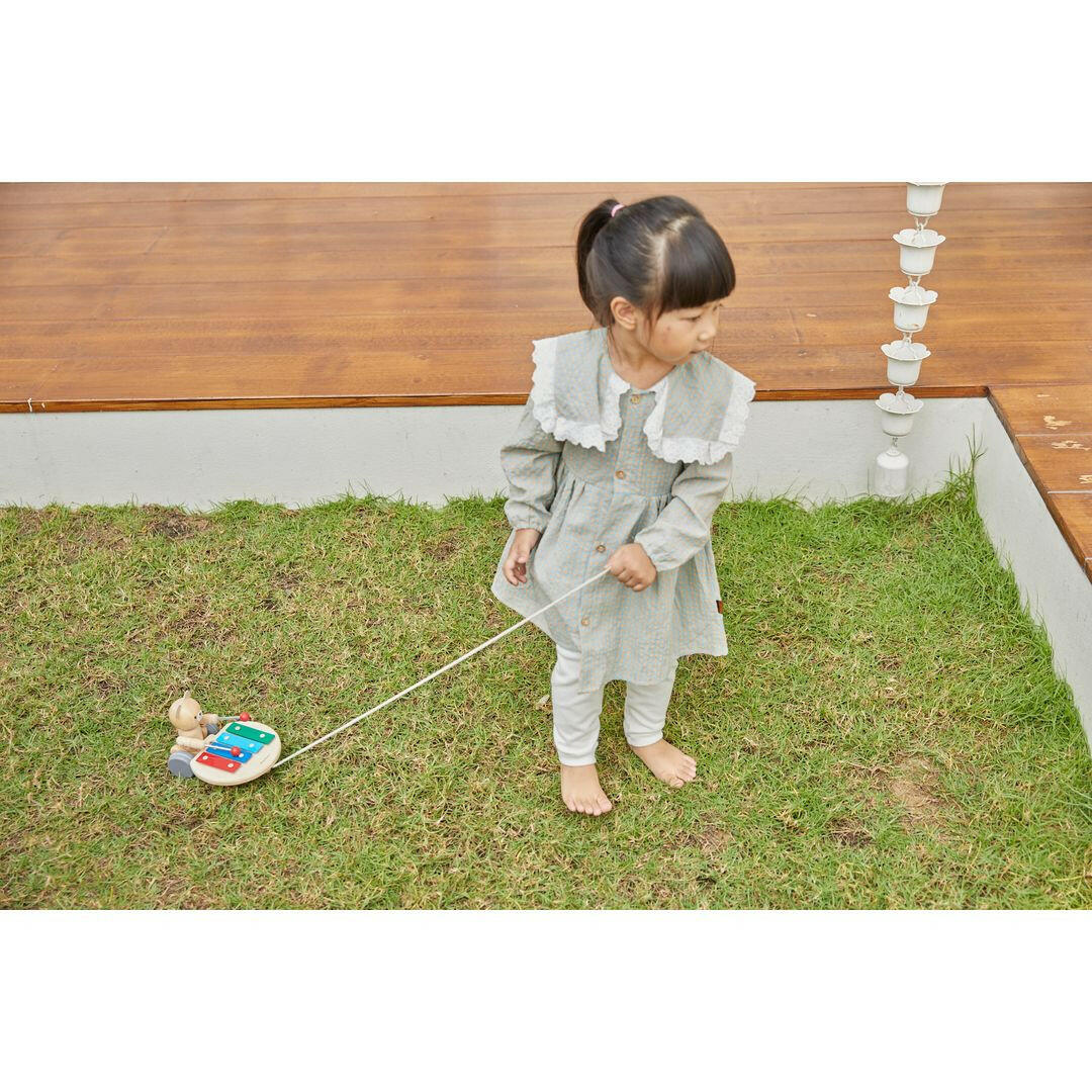Pull Along Musical Bear  PlanToys   