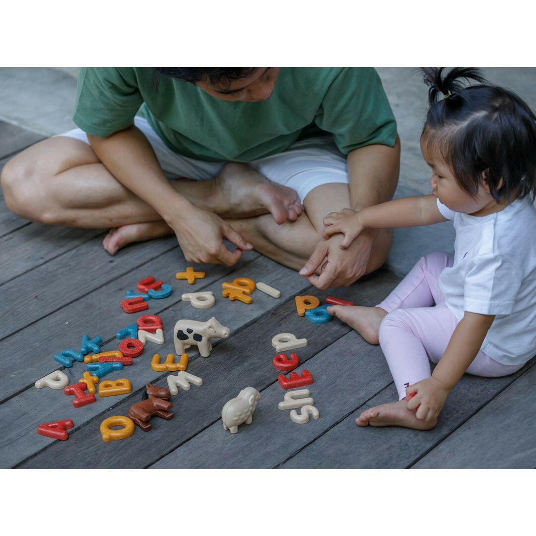 Lower Case Alphabet  PlanToys   