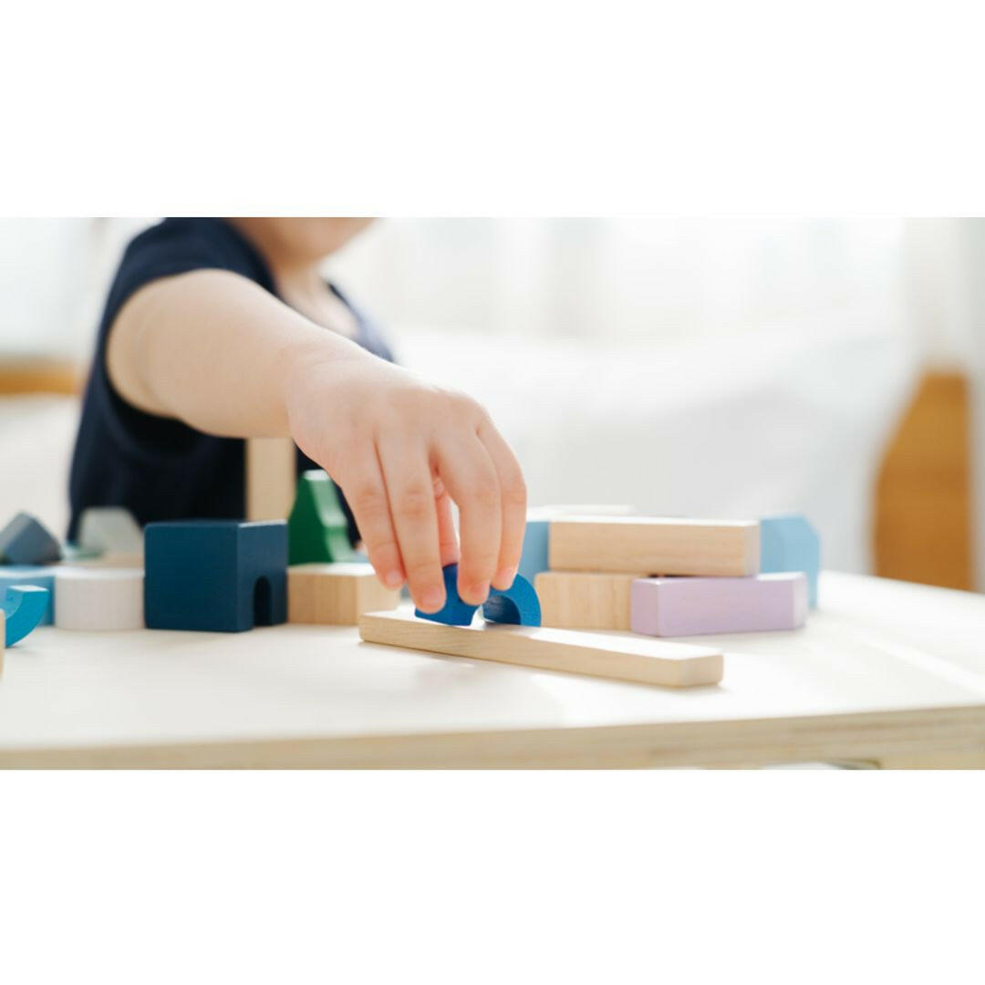 Urban City Blocks  PlanToys   