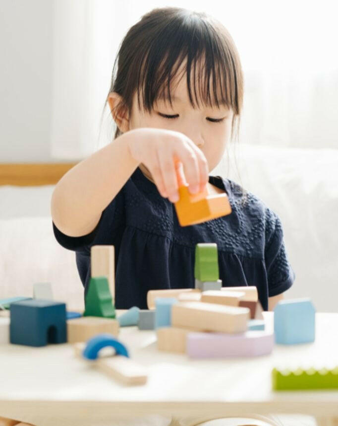 Urban City Blocks  PlanToys   