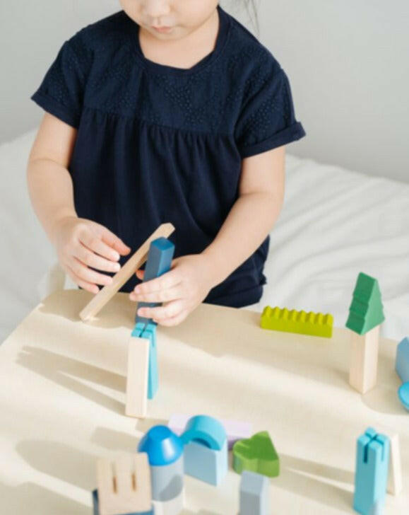 Urban City Blocks  PlanToys   