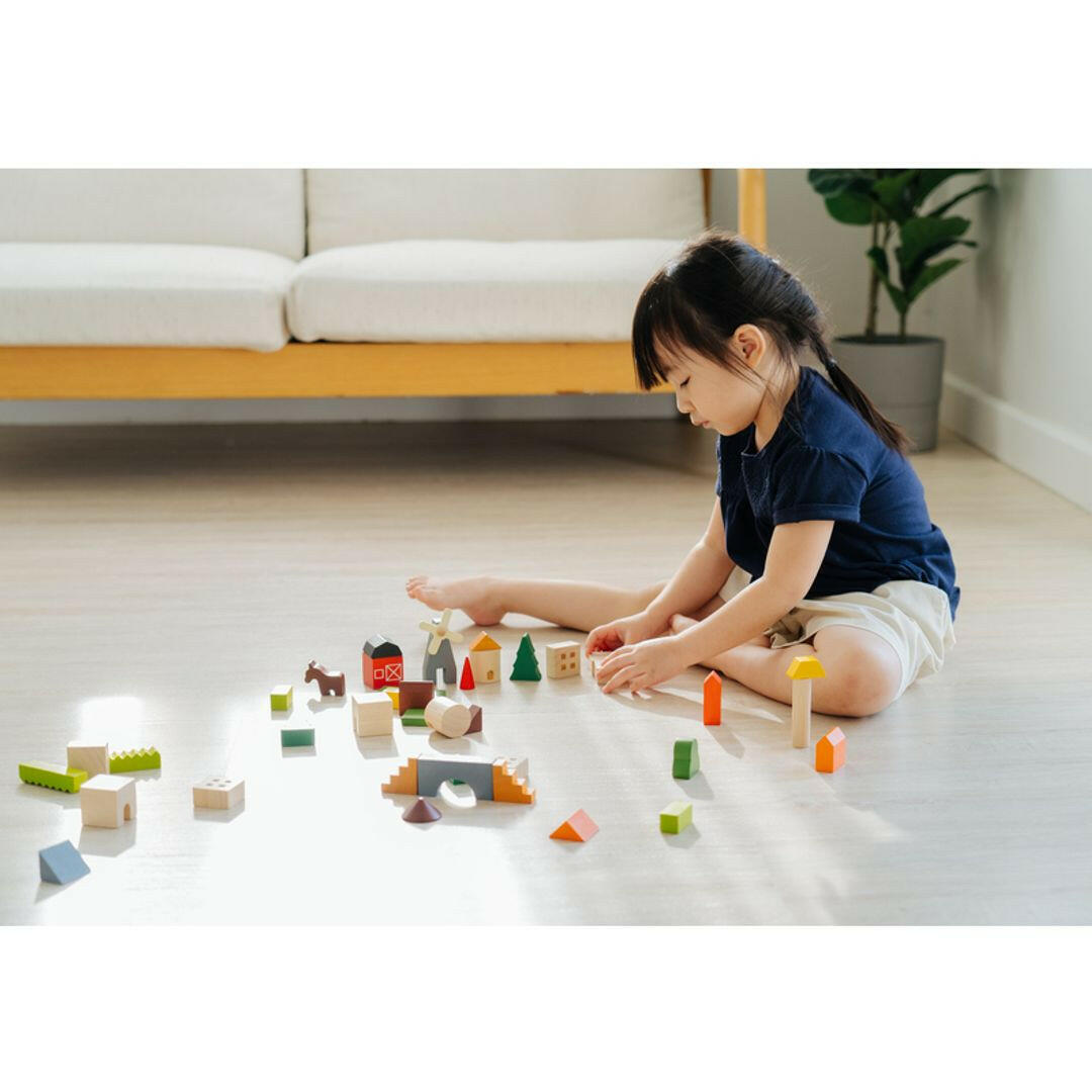 Countryside Blocks  PlanToys   