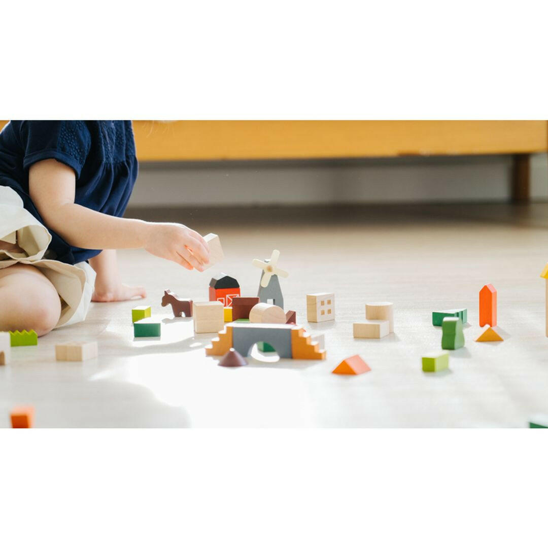 Countryside Blocks  PlanToys   