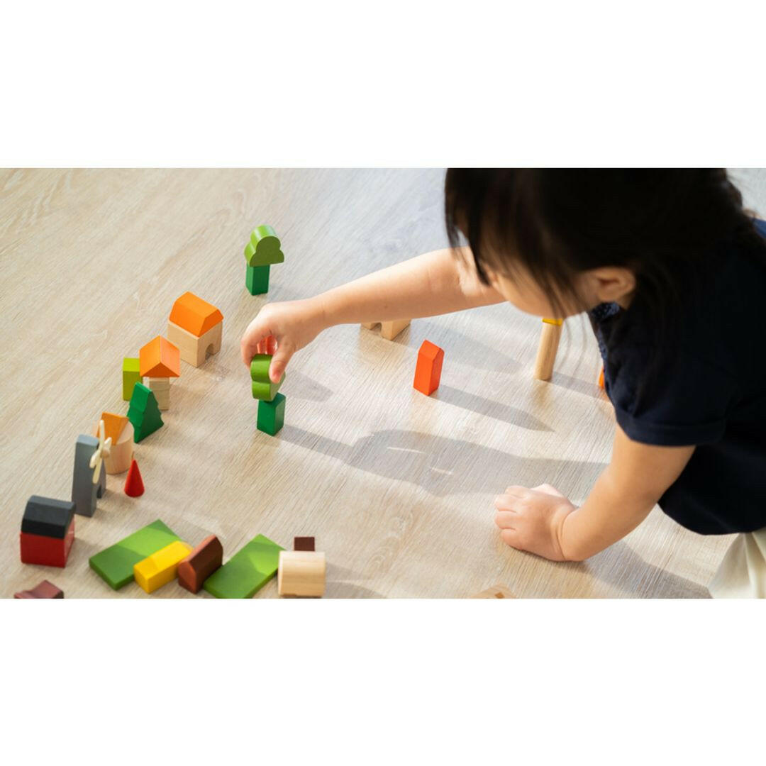 Countryside Blocks  PlanToys   