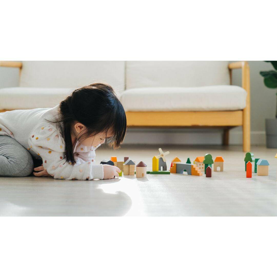 Countryside Blocks  PlanToys   