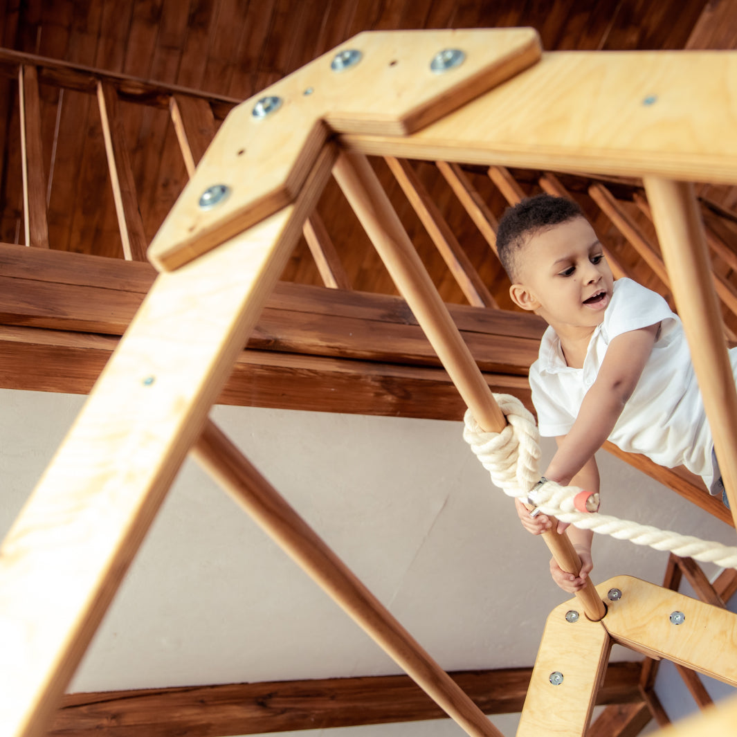 Indoor Wooden Playhouse with Triangle ladder, Slide Board and Swings Playhouses Goodevas   