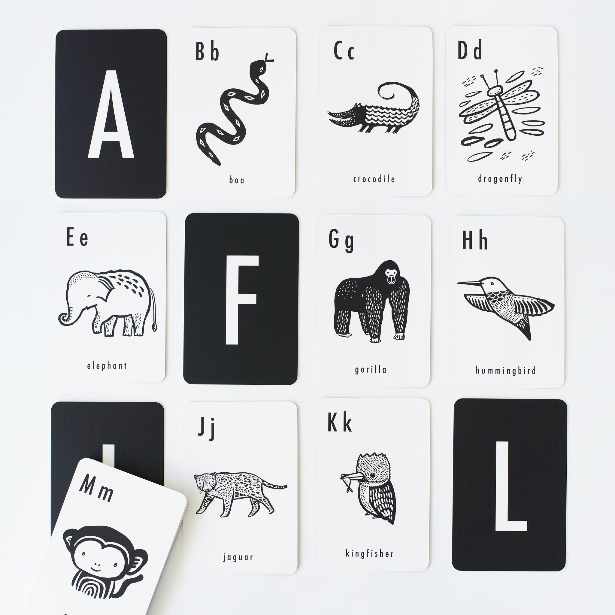 Jungle Alphabet Cards Learning Cards Wee Gallery   