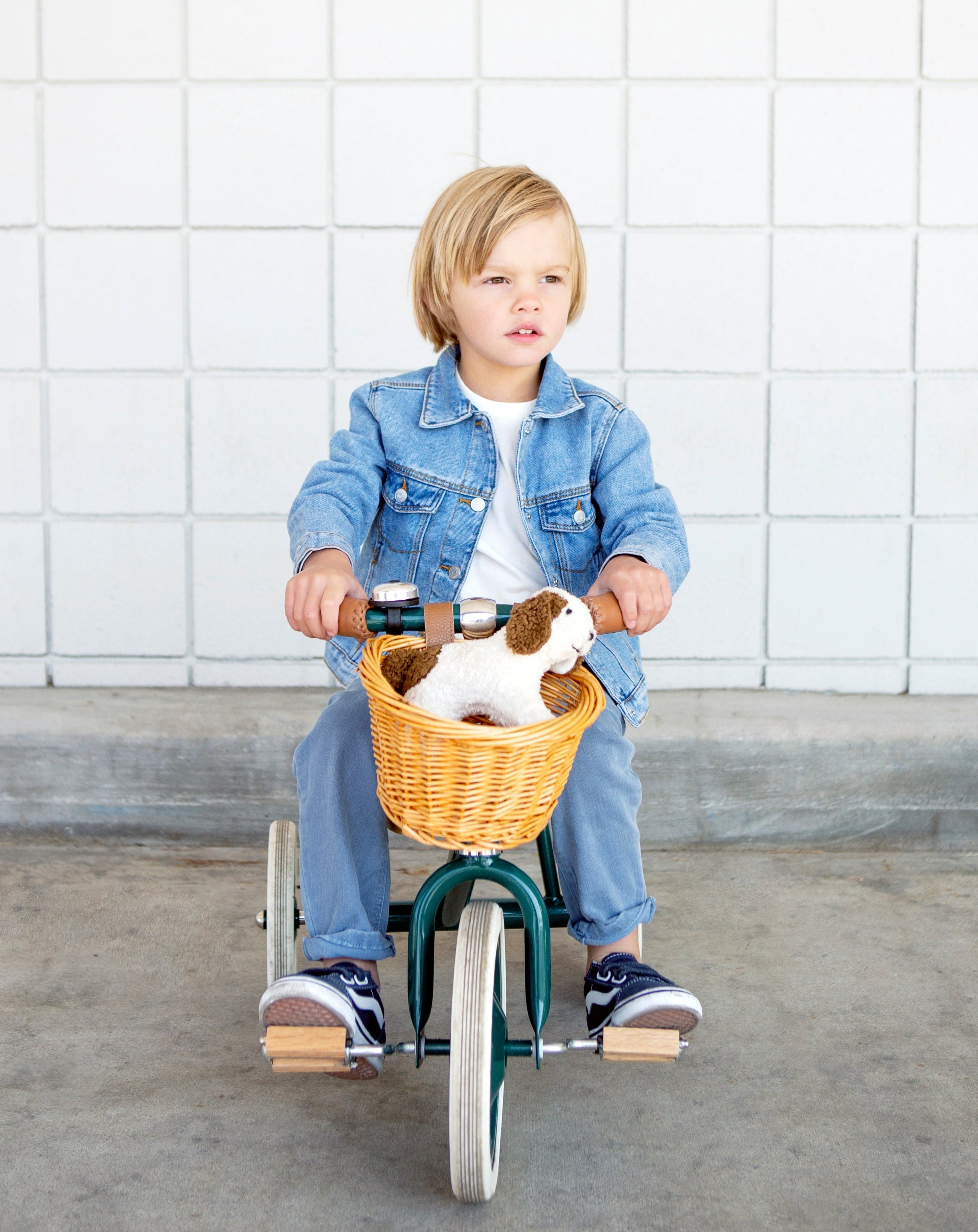 Banwood Trike - Green Tricycle Banwood   