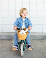 Banwood Trike in Green