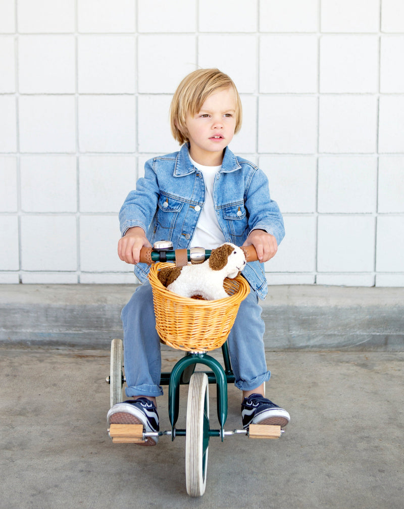 Banwood Trike in Green