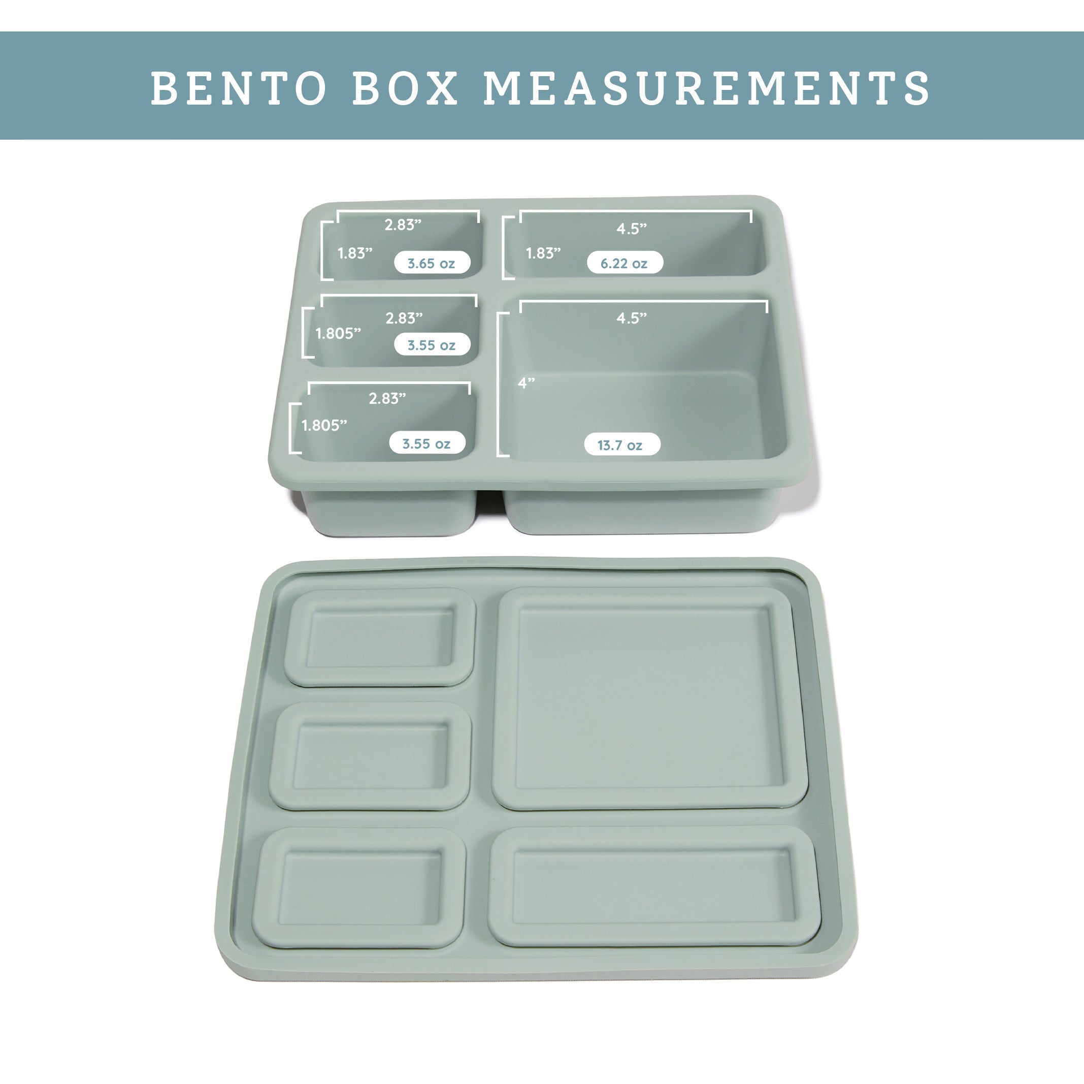 Silicone Bento Box Veggie Garden Robin's Egg Blue  Austin Baby Collection   