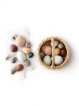 A Dozen Bird Eggs Included