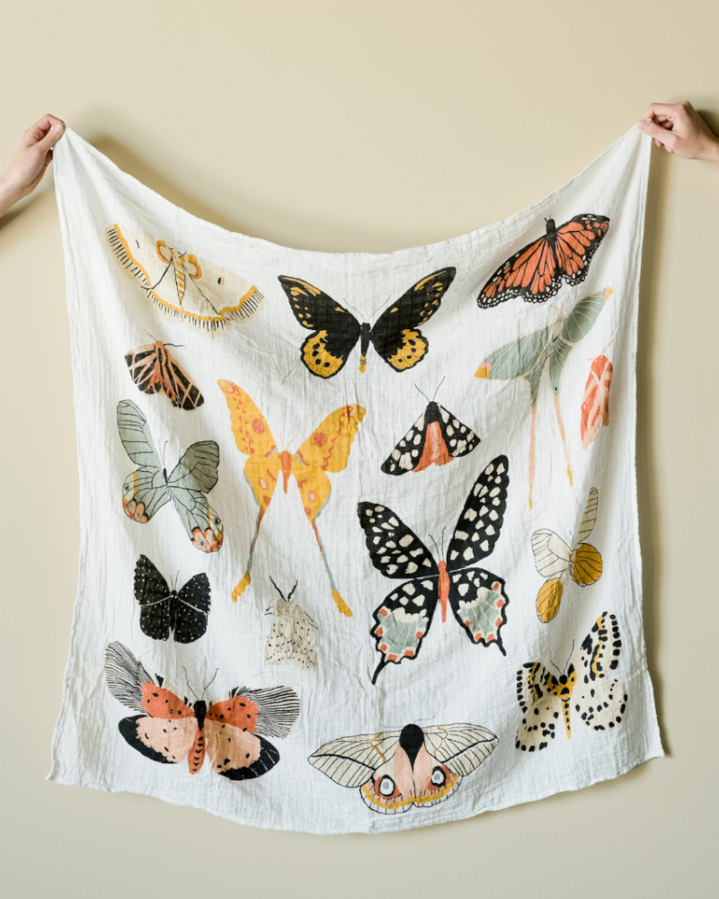 Butterfly Collector Swaddle Baby Essentials Clementine Kids   