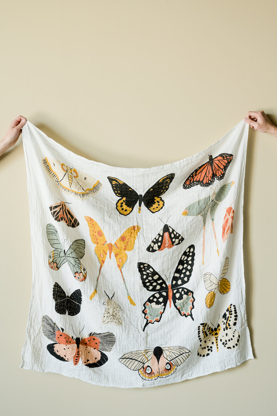 Butterfly Collector Swaddle Swaddles Clementine Kids   