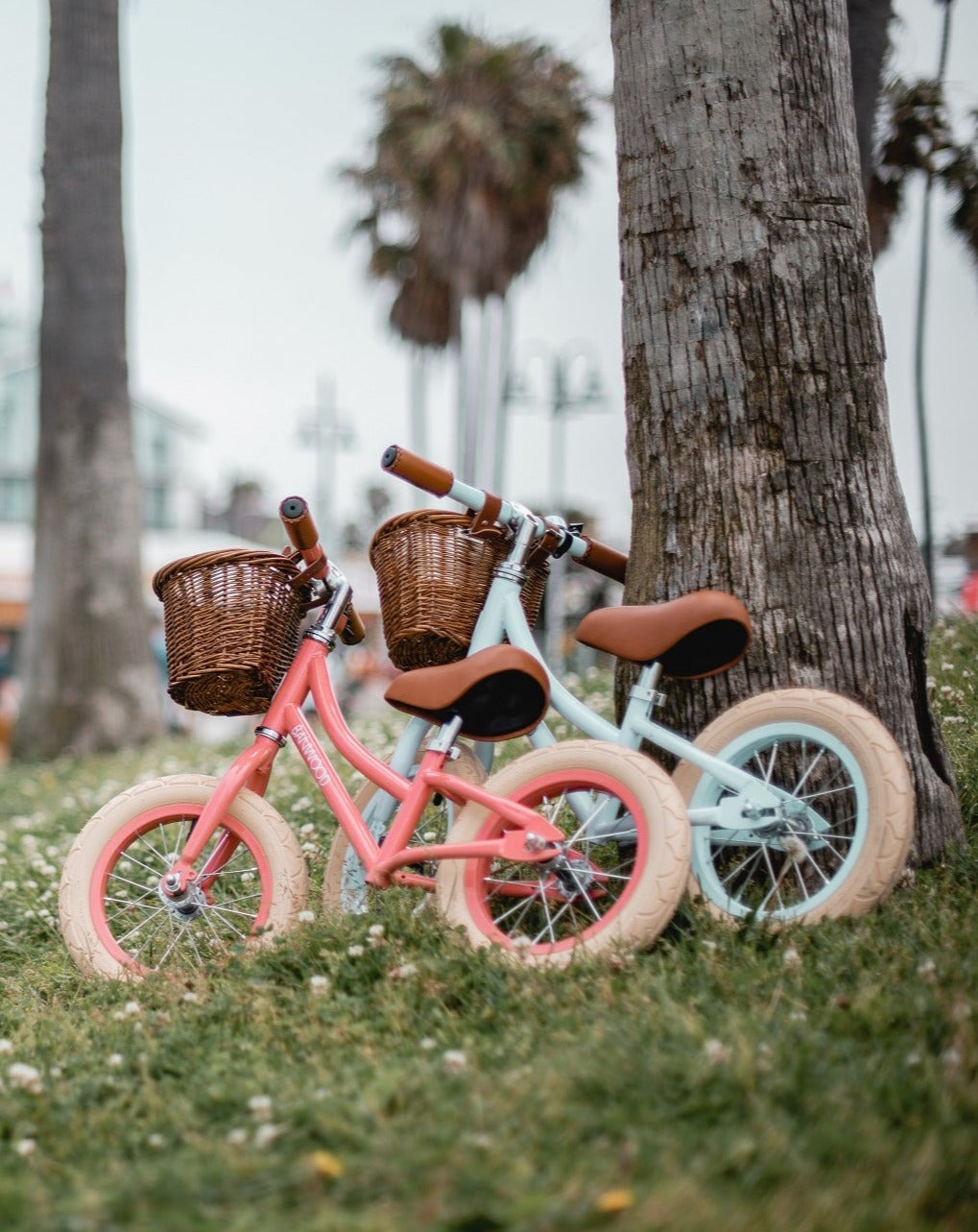 Banwood Bike First Go - Sky Bikes Banwood   