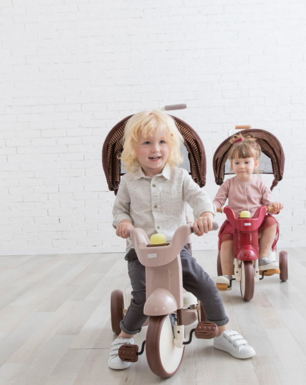 Foldable Tricycle With Canopy