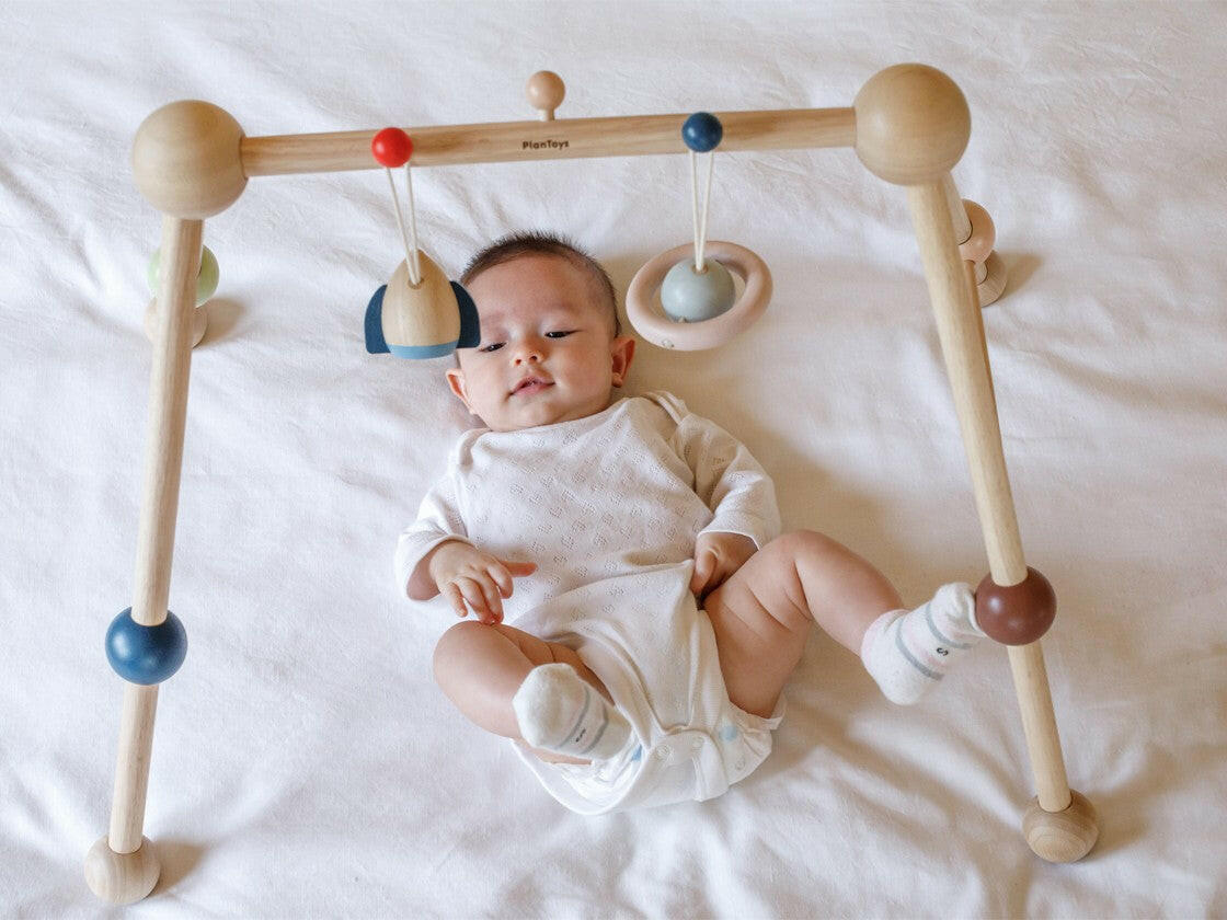 Play Gym - Orchard Play Gyms PlanToys   