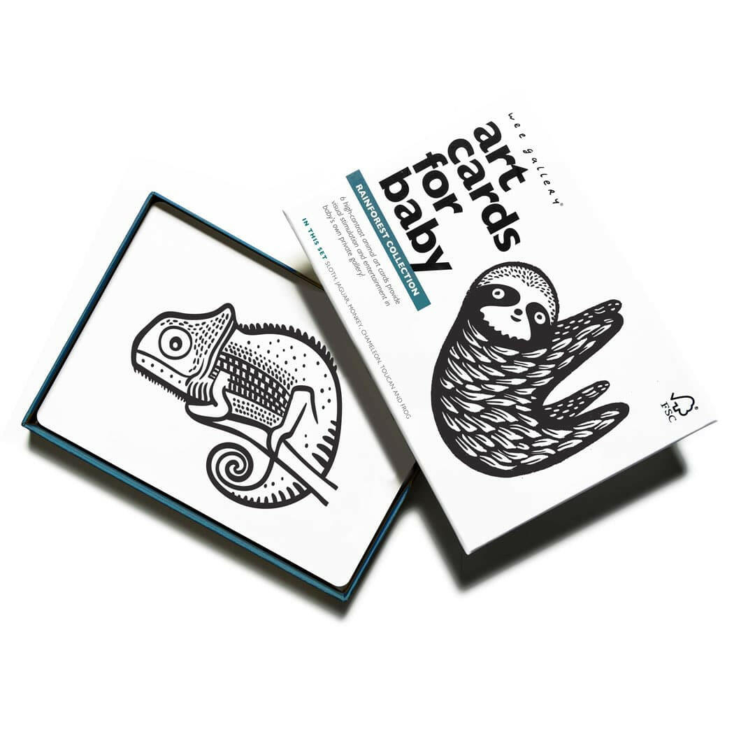 Art Cards for Baby - Rainforest Collection Art Cards Wee Gallery   