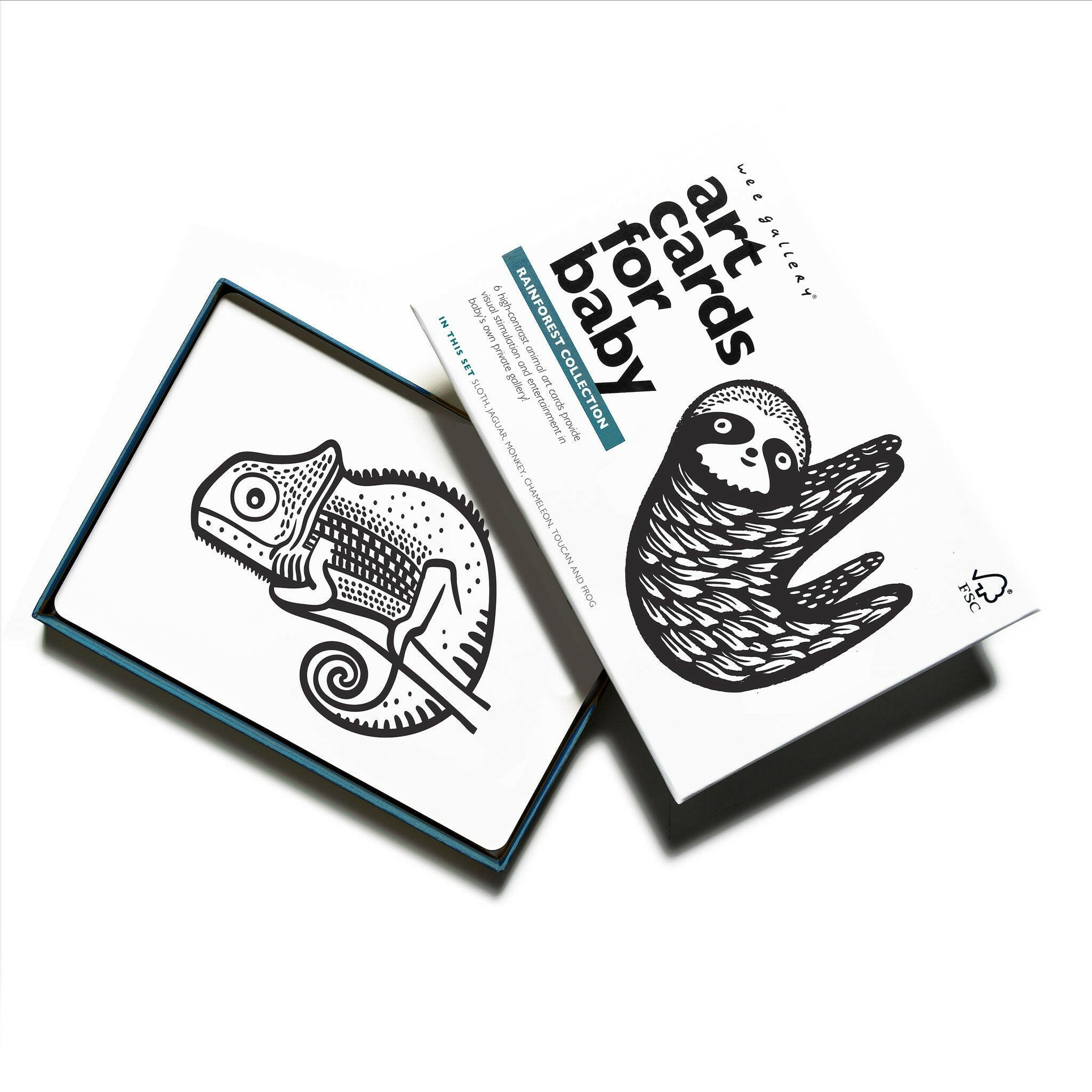 Art Cards for Baby - Rainforest Collection Art Cards Wee Gallery   