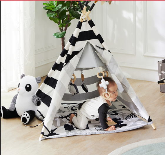 ABC Baby Activity Tent  Wonder and Wise   